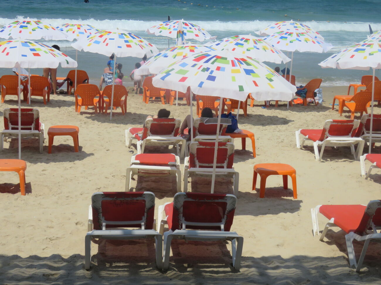 קרדיט צילום שירי טל קרדיט צילום שירי טל