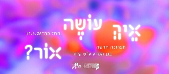 צילום מתוך דף הפייסבוק דוידסון און-ליין