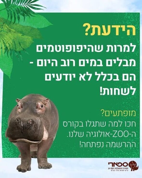 צילום מתוך דף הפייסבוק ספארי רמת גן Ramat Gan Safari