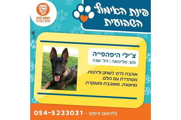 צילום מתוך דף הפייסבוק עיריית ראשון לציון