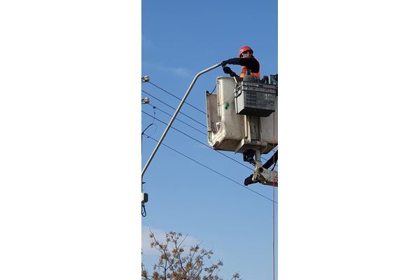 קרדיט: הדף של חובב צברי