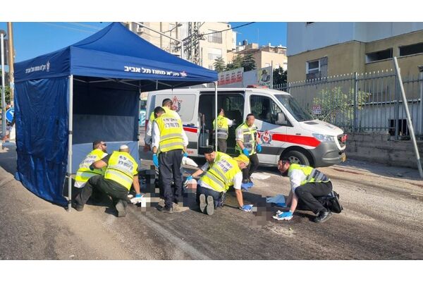 דוברות זק״א