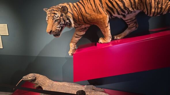 צילום מתוך דף הפייסבוק תיכון חדש דרכא בת ים