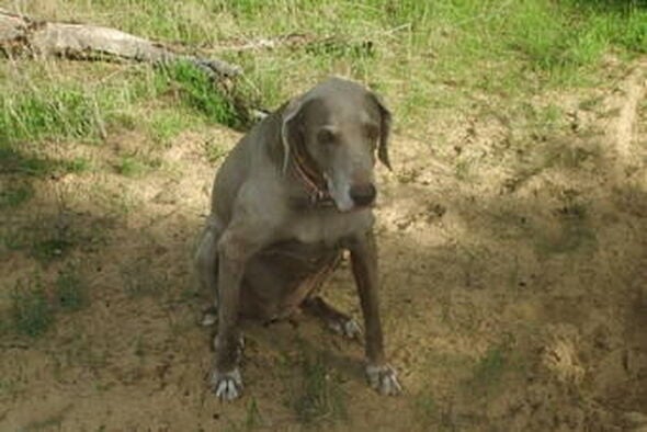 תמונת אילוסטרציה