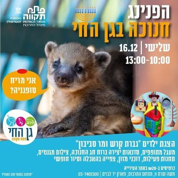 צילום מתוך דף הפייסבוק רמי גרינברג