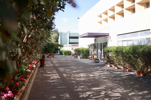 קרדיט צילום: רוני יואל, סטודיו למה לא