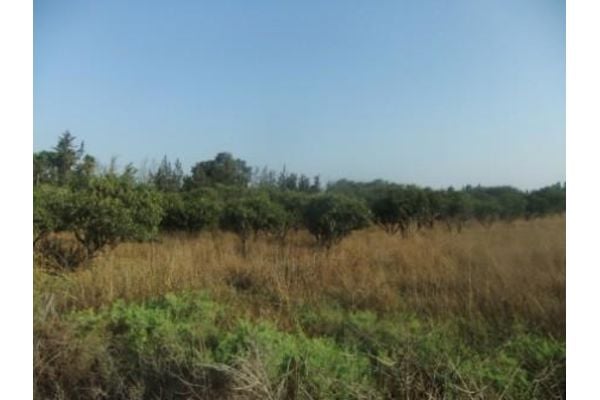 מערב רחובות תמונת ארכיון ואין קשר לנושא הכתבה