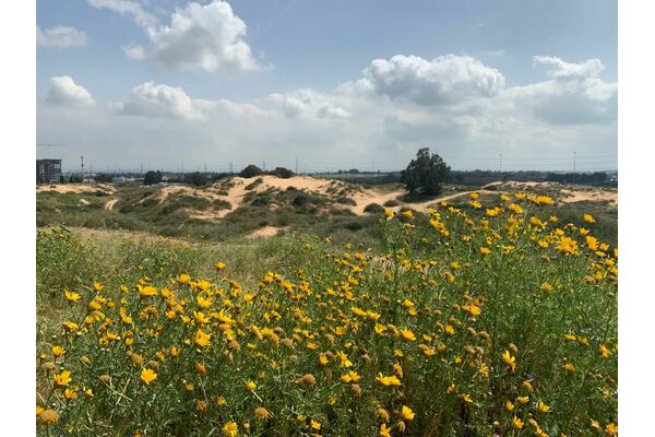 קרדיט: עיריית חולון