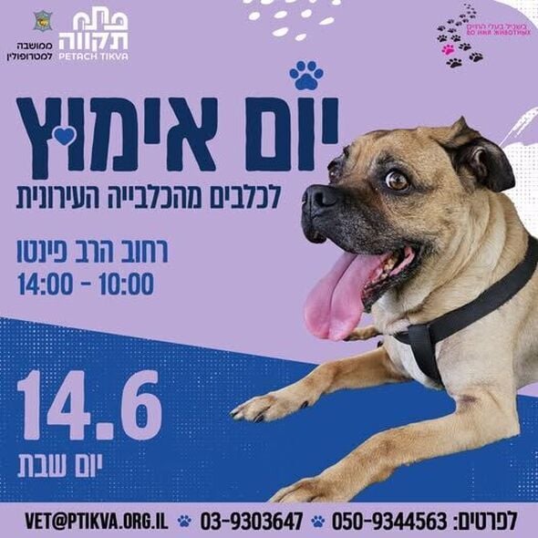 צילום מתוך דף הפייסבוק שרות וטרינרי עיריית פתח תקווה