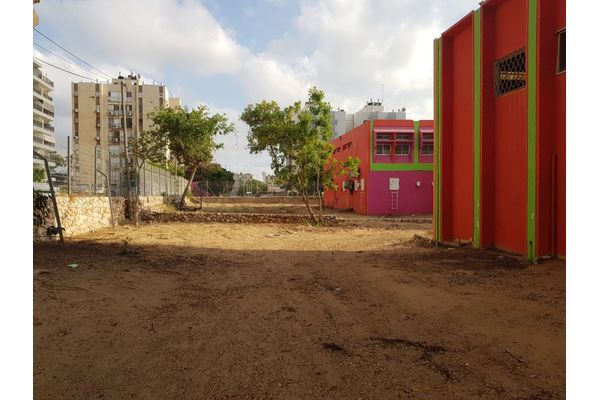 צילום: אגף גנים ונוף