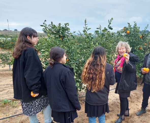 תמונות ארכיון/אילוסטרציה , למצולמים אין קשר לכתבה