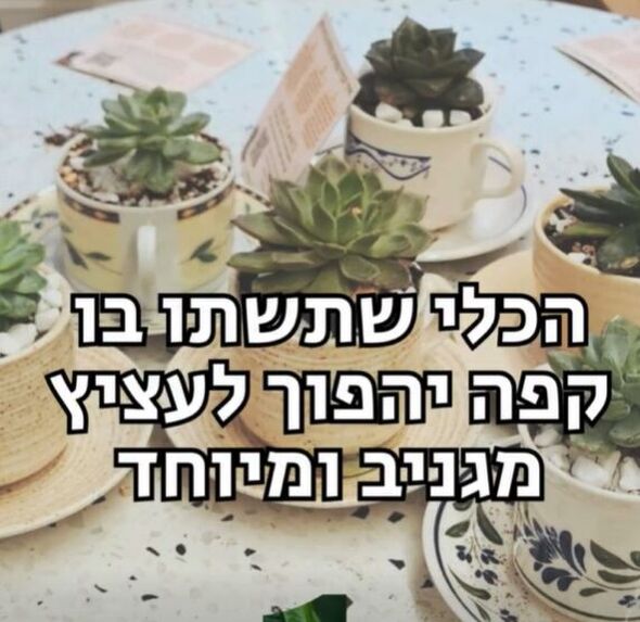 צילום מתוך דף הפייסבוק דיזנגוף סנטר תל אביב