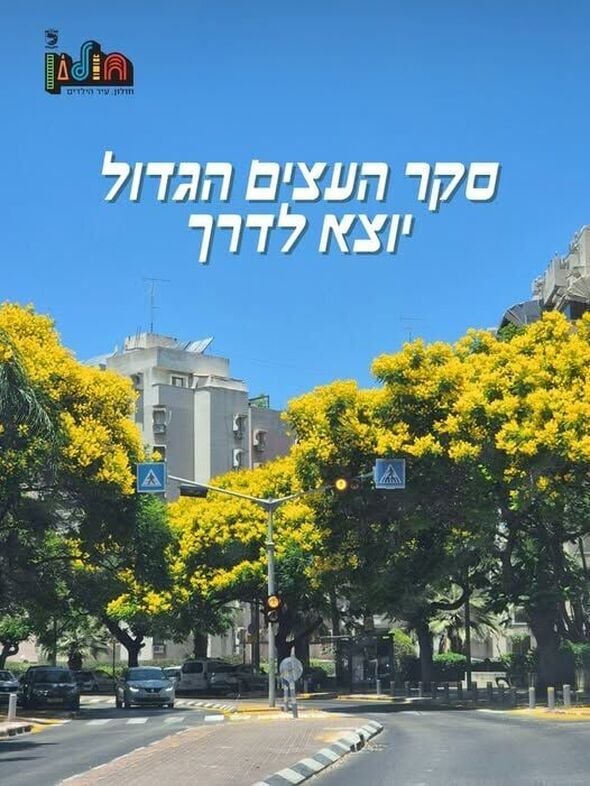 צילום מתוך דף הפייסבוק עיריית חולון
