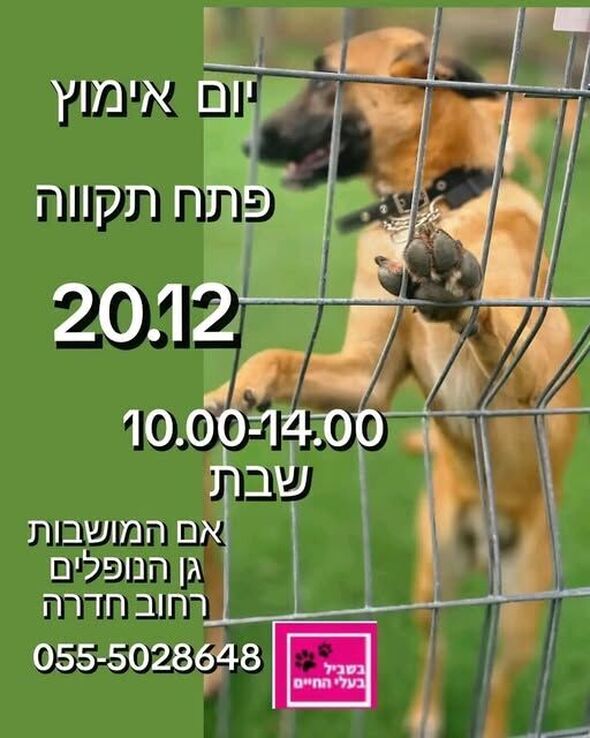 צילום מתוך דף הפייסבוק צדוק בן משה - סגן ראש העיר פ"ת