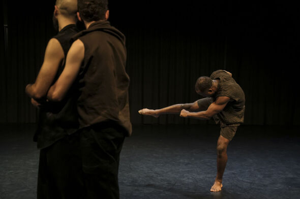 צילום: קרדיט צילום אפרת מזור