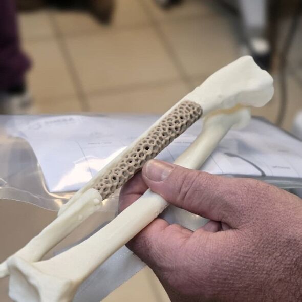 צילום מתוך דף הפייסבוק המרכז הרפואי שיבא תל השומר