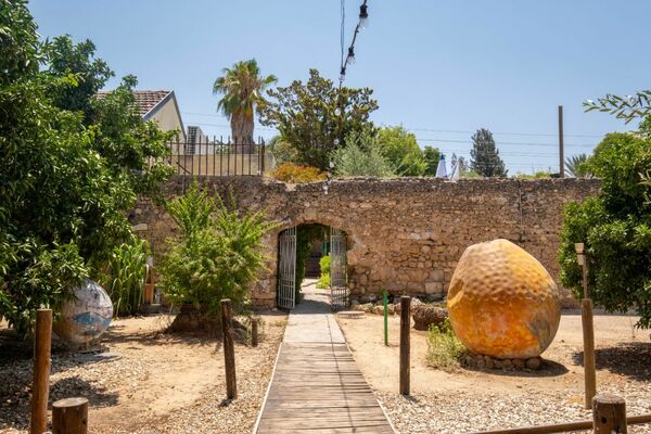 קרדיט נתי תורגמן