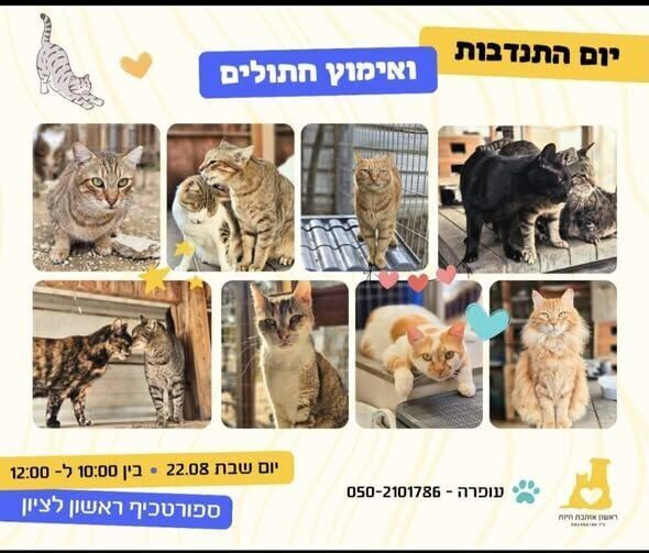 צילום מתוך דף הפייסבוק עמותת ראשון אוהבת חיות