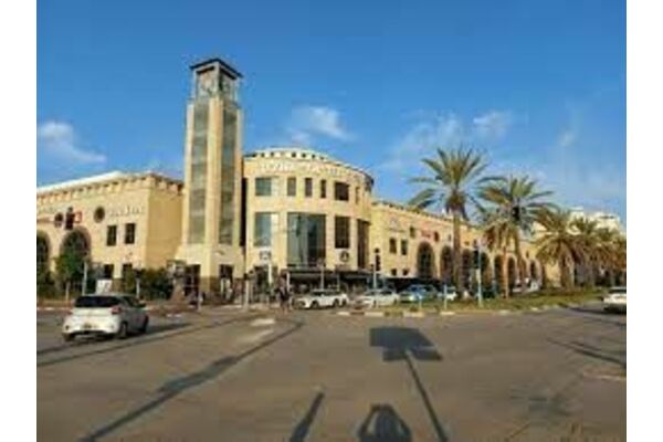 ויקיפדיה