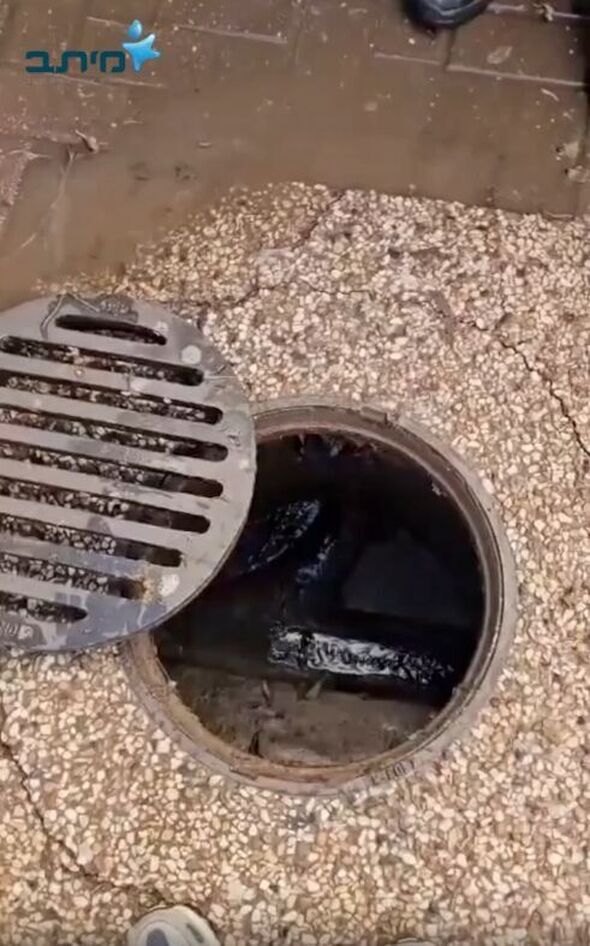 צילומים: צילום מסך