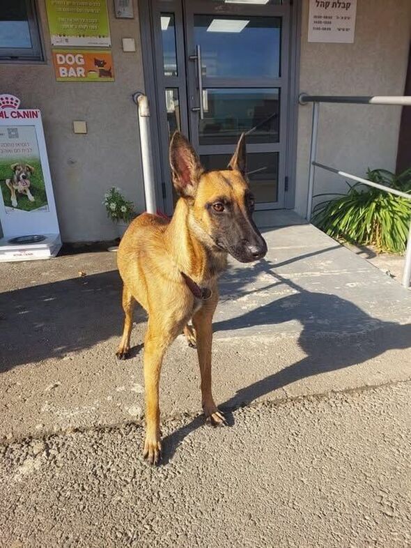צילום מתוך דף הפייסבוק שרות וטרינרי עיריית פתח תקווה