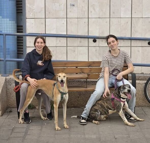 צילום מתוך דף הפייסבוק צער בעלי חיים רמת גן והסביבה