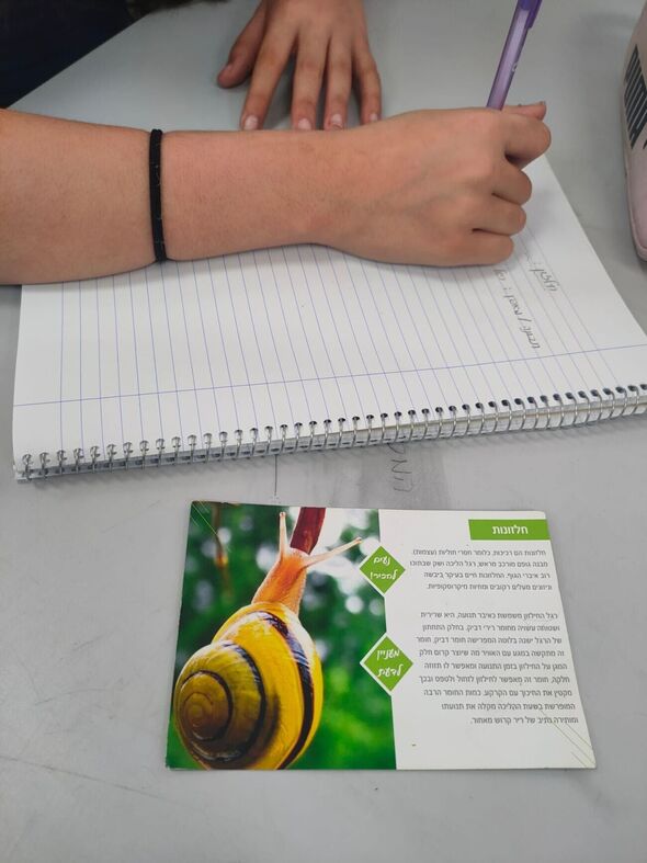 צילום מתוך דף הפייסבוק בית חינוך פרדס צפוני