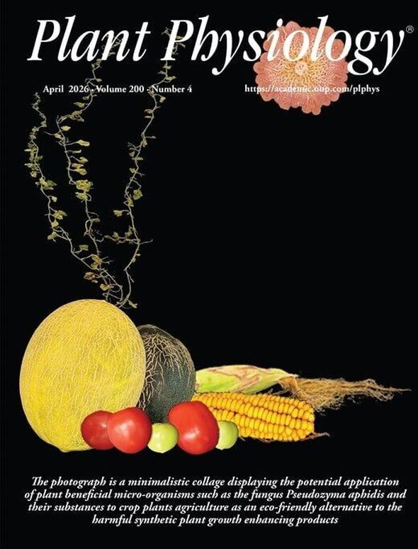 צילום מתוך דף הפייסבוק הפקולטה לחקלאות, מזון וסביבה ע"ש רוברט ה. סמית, רחובות