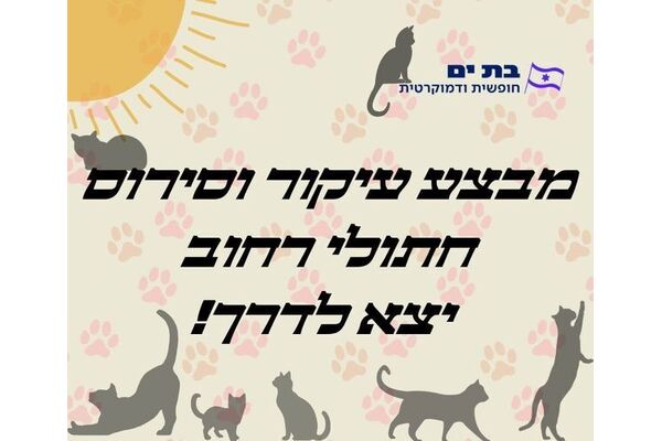 צילום מתוך דף הפייסבוק קטי פיאסצקי