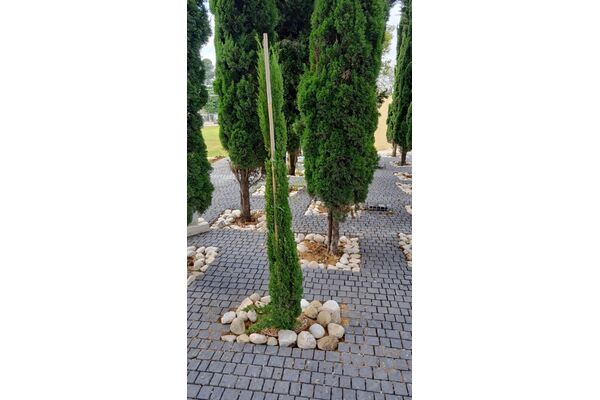 צילום מתוך דף הפייסבוק המועצה המקומית קריית עקרון