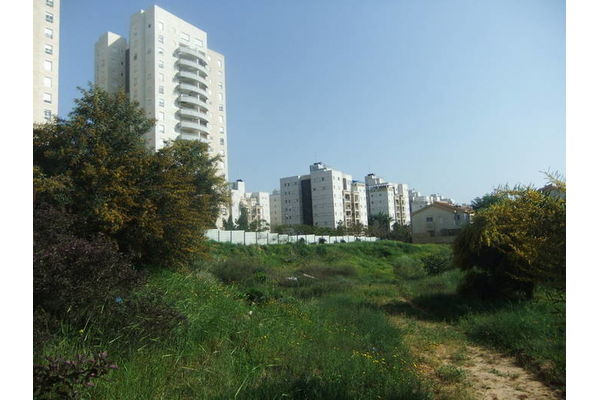 השטח המיועד