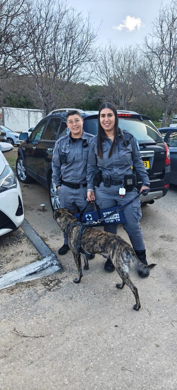 צילום: ארגון ידידים