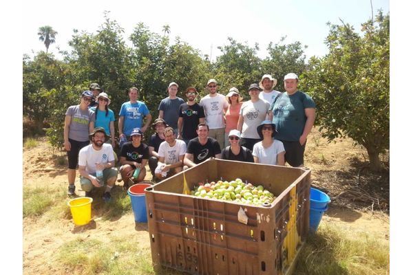 צילום: מאגר לקט ישראל