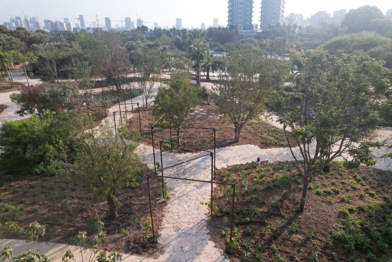 צילום אורי לווינגר