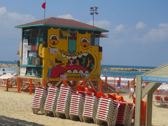 צילום: קדיט צילום שירי טל2