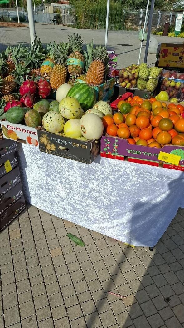 צילום מתוך דף הפייסבוק עיריית נס ציונה