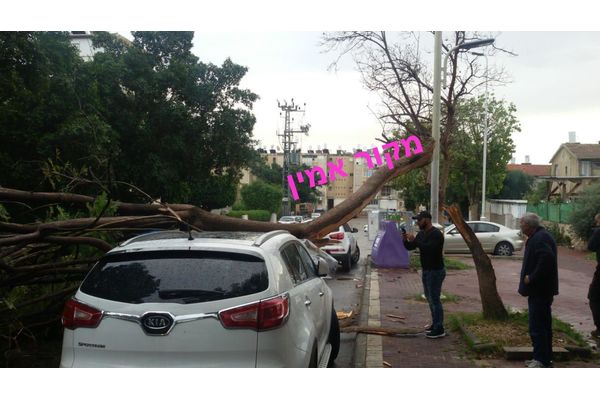 קרדיט:מקור אמין