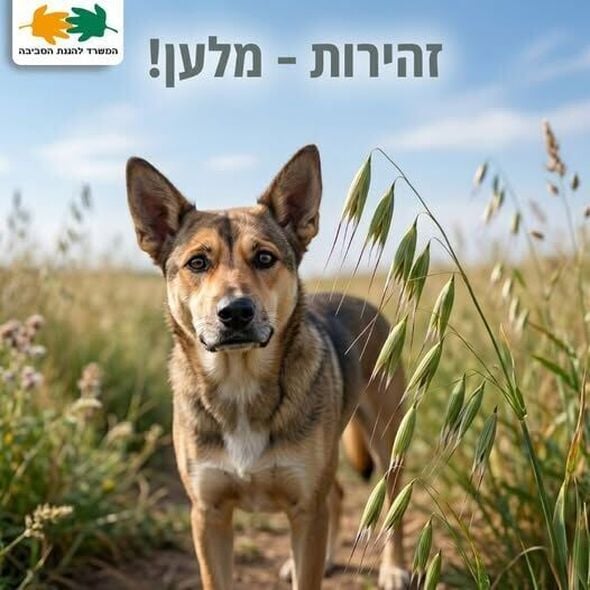 צילום מתוך דף הפייסבוק המשרד להגנת הסביבה