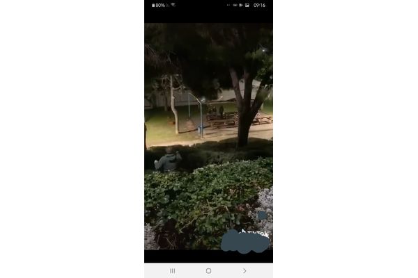 קרדיט:גינדי אלי-פורום תושבי בת ים ,פייסבוק