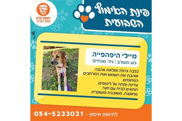 צילום מתוך דף הפייסבוק עיריית ראשון לציון