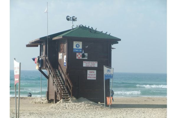 צילום: עיריית ראשון לציון