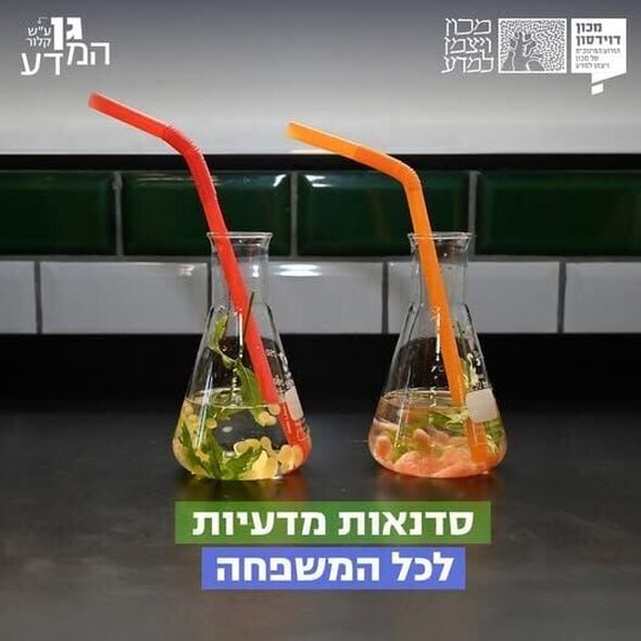 צילום מתוך דף הפייסבוק דוידסון און-ליין