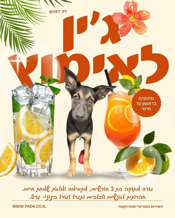 צילום מתוך דף הפייסבוק עיריית פתח תקווה