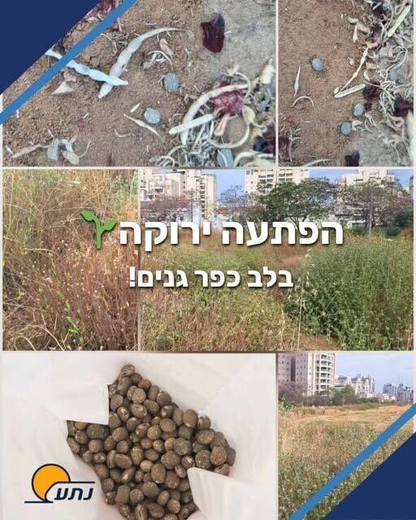 צילום מתוך דף הפייסבוק נת"ע