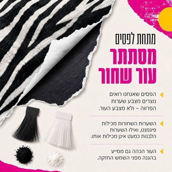 צילום מתוך דף הפייסבוק מוזיאון האדם והחי