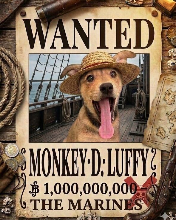 ...