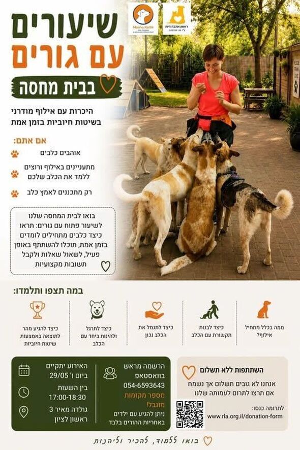 צילום מתוך דף הפייסבוק עמותת ראשון אוהבת חיות