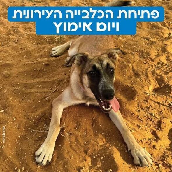 צילום מתוך דף הפייסבוק עיריית נס ציונה