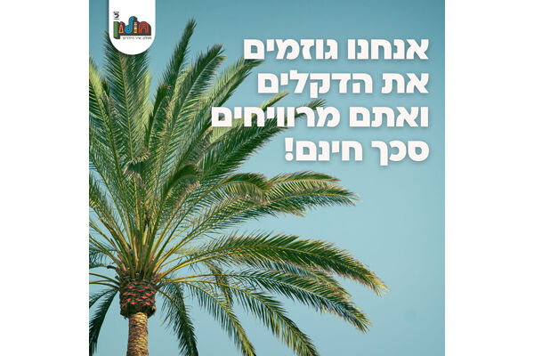 צילום מתוך דף הפייסבוק עיריית חולון