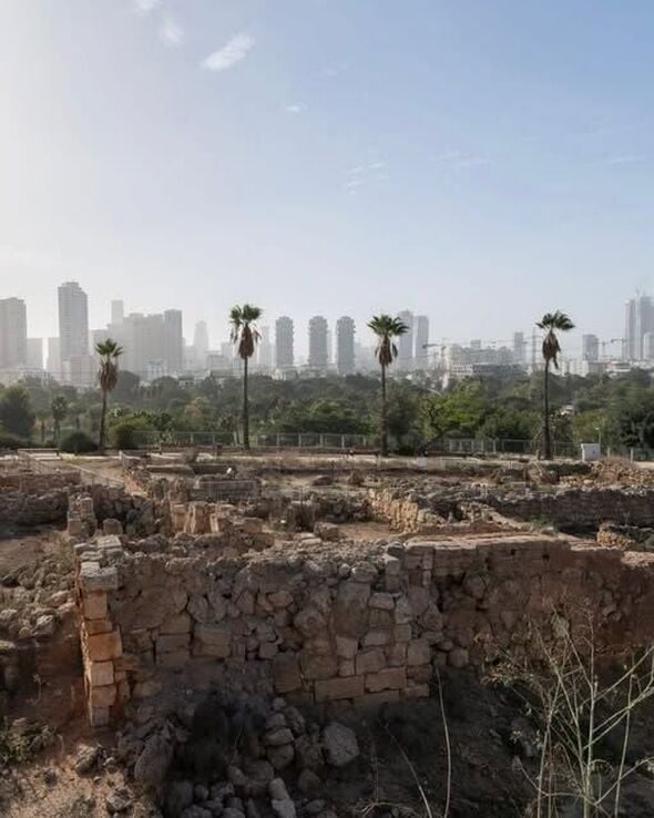 צילום מתוך דף הפייסבוק מוזיאון ארץ-ישראל, תל-אביב